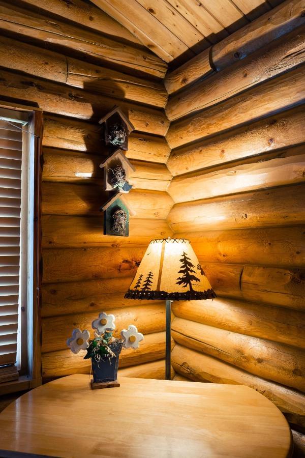 Country Cabins Inn Lyman Extérieur photo